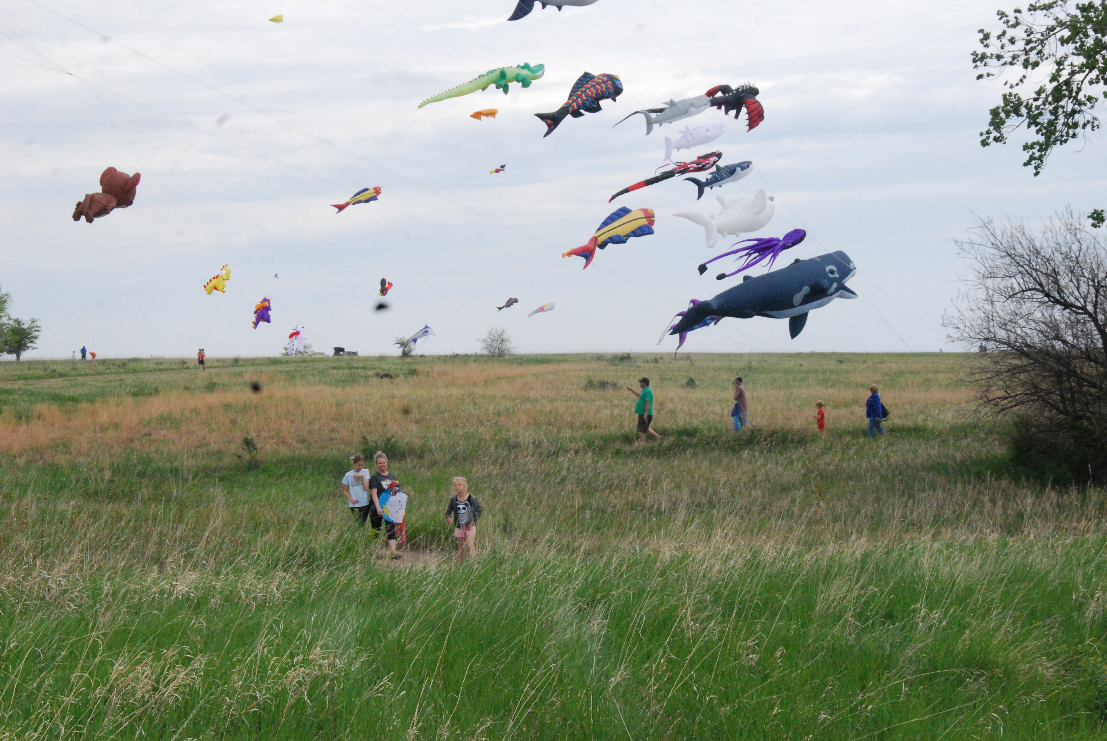 Flying high at Fort Stevenson