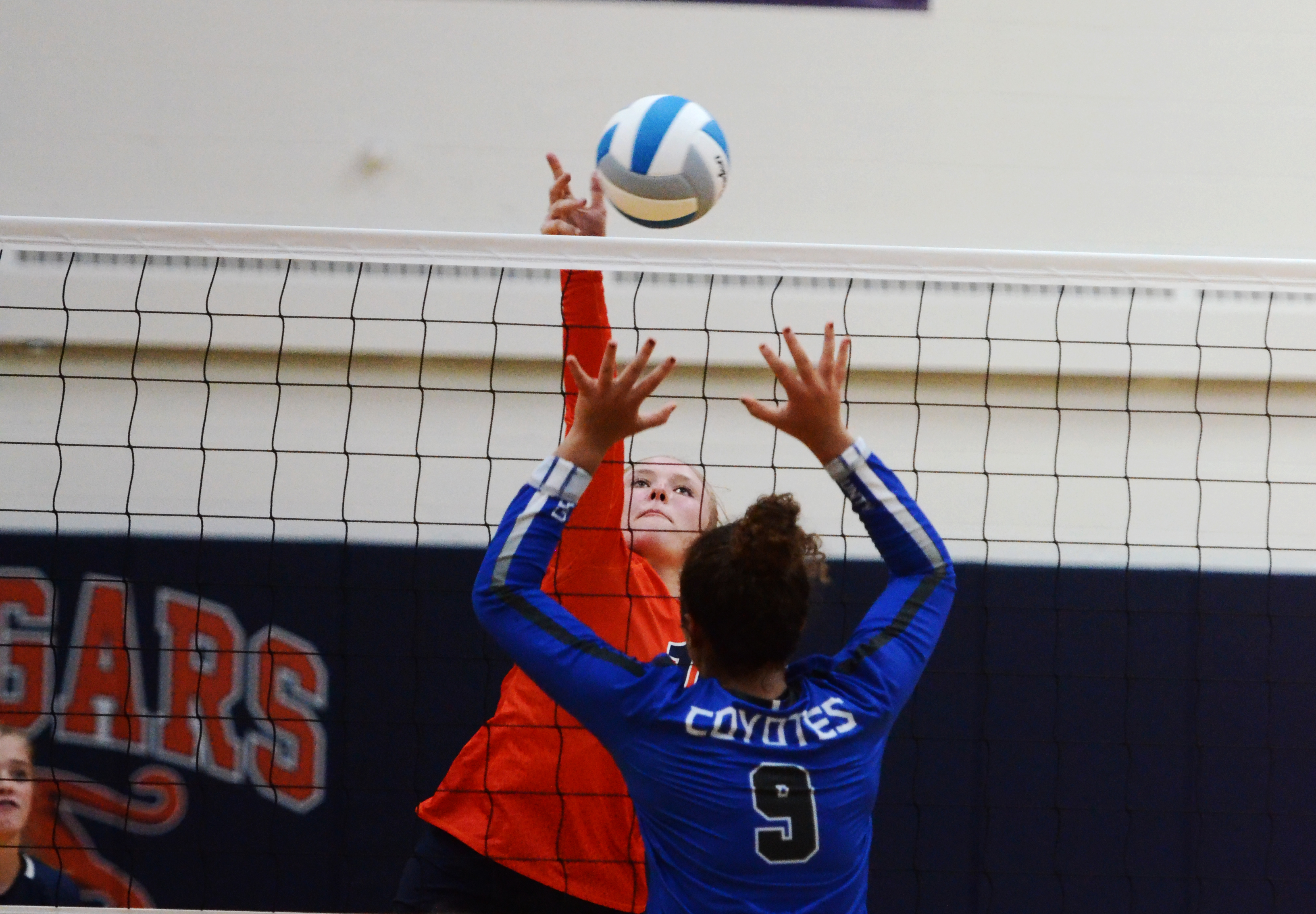 Lady Cougars falter against Coyotes