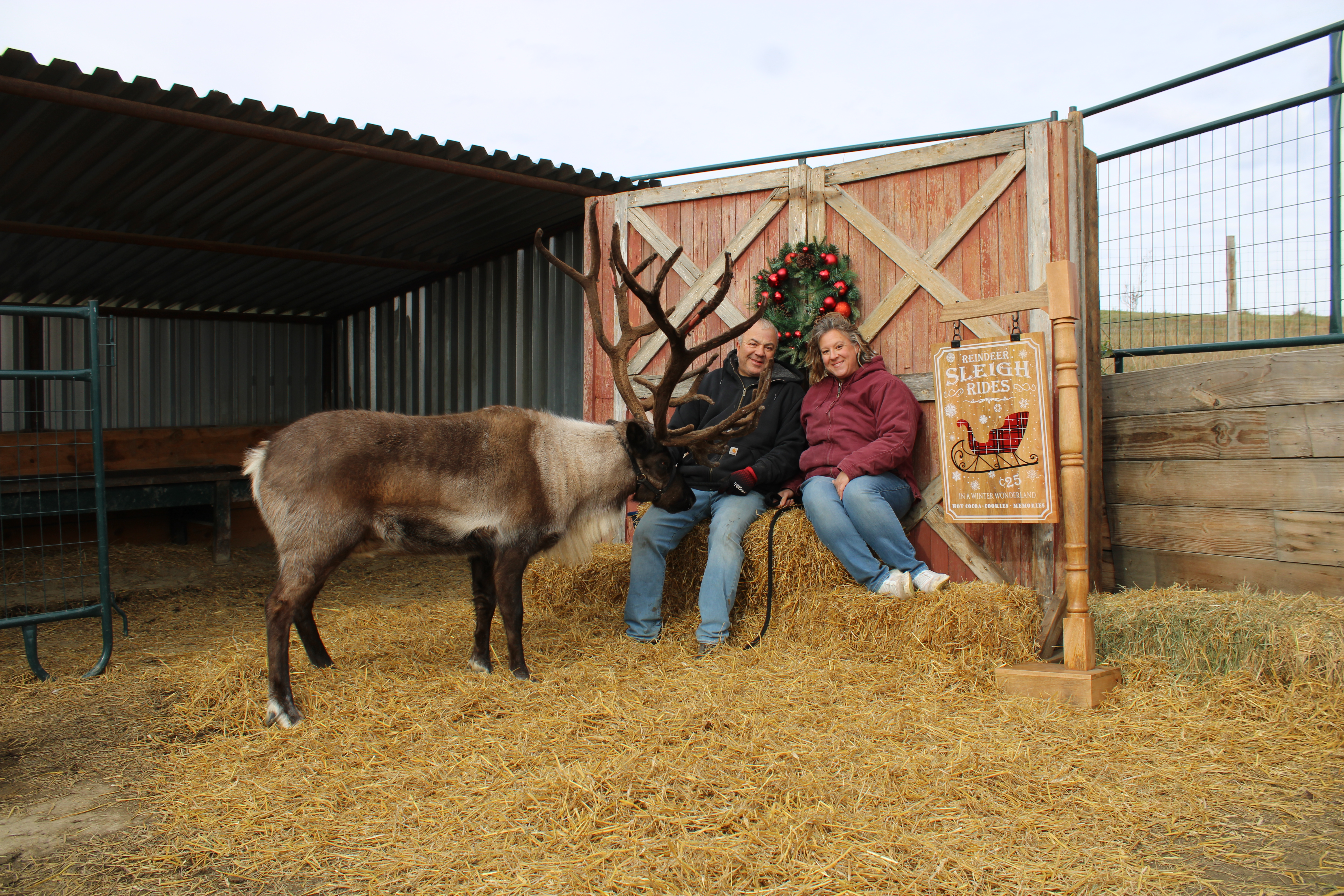 Northern Lights Ranch brings a touch of magic wherever they go