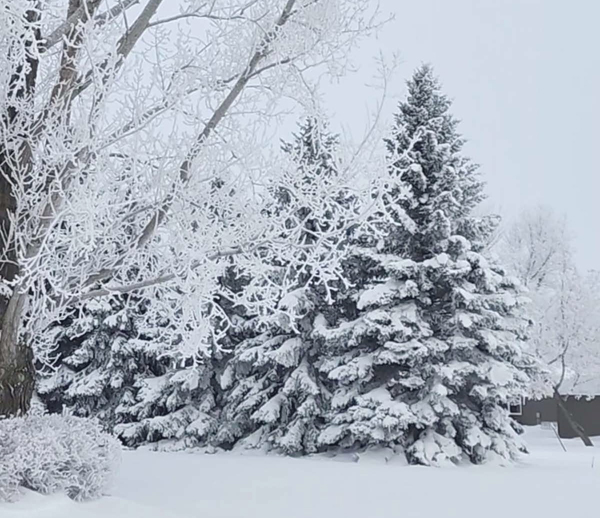 Storm drops first snow of season