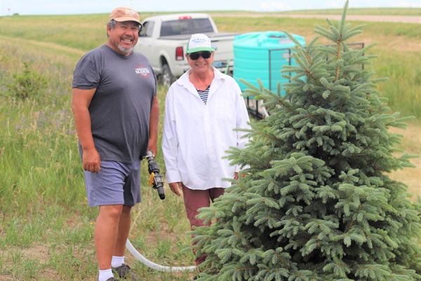 Young trees get loving care from Parshall couple