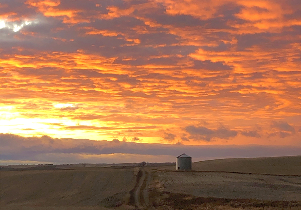 Sunsets on the first weekend of N. D. deer season