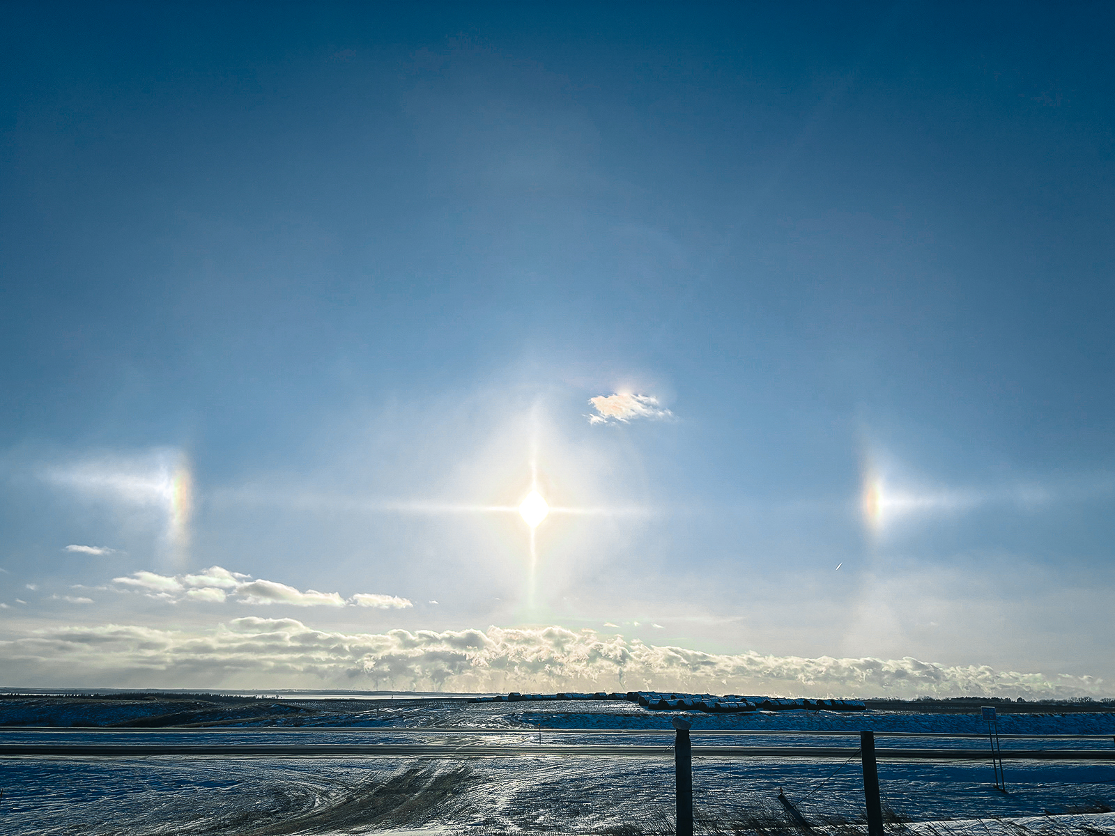 “Sundogs” out for a walk
