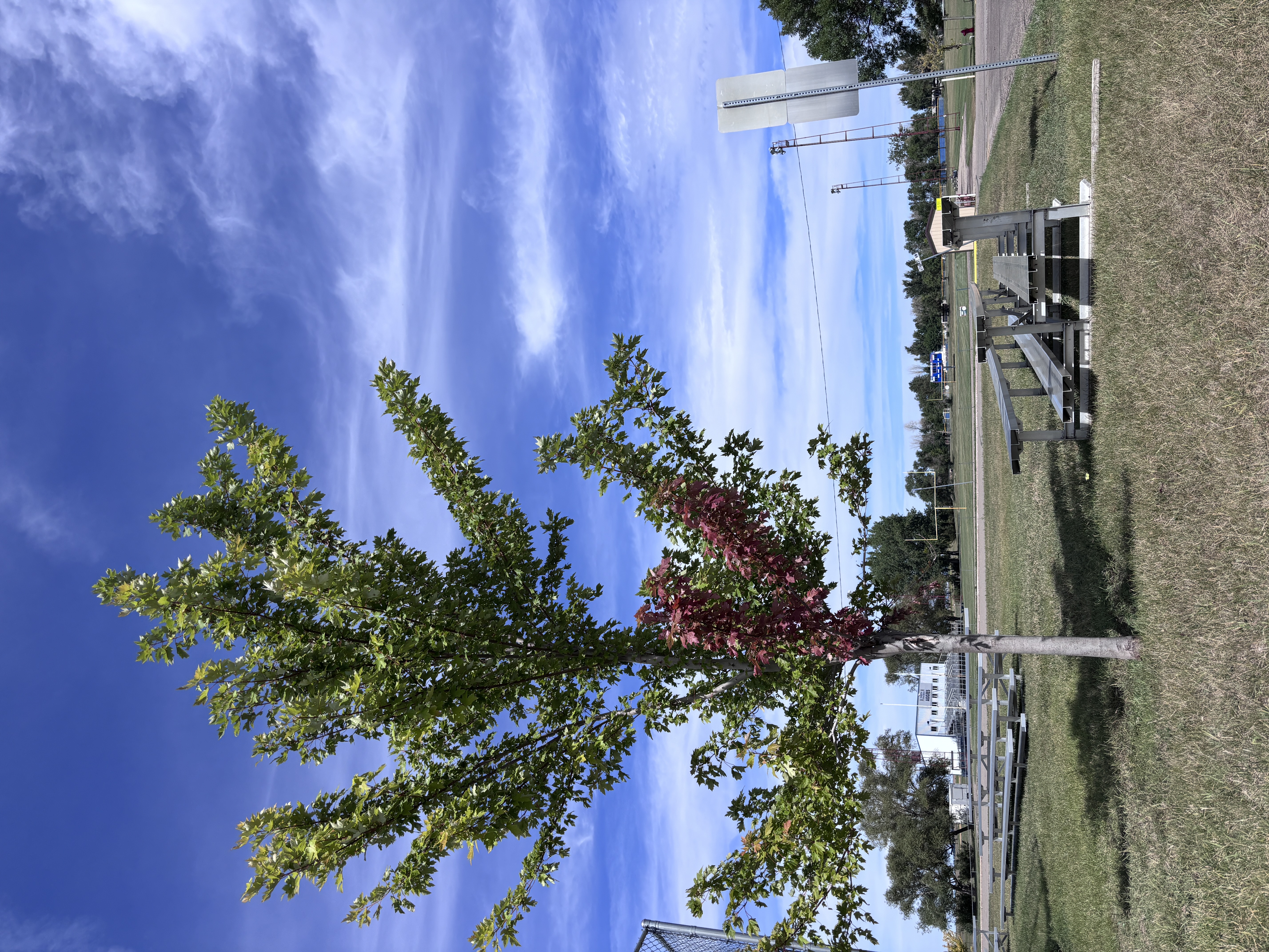 New Garrison Tree Committee gets busy