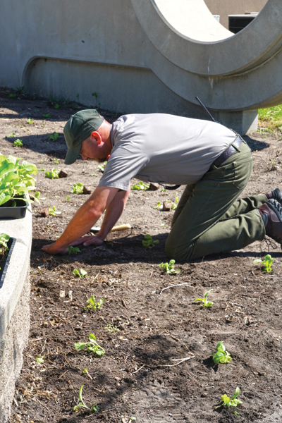 Expanded KRIV garden showcases Native crops