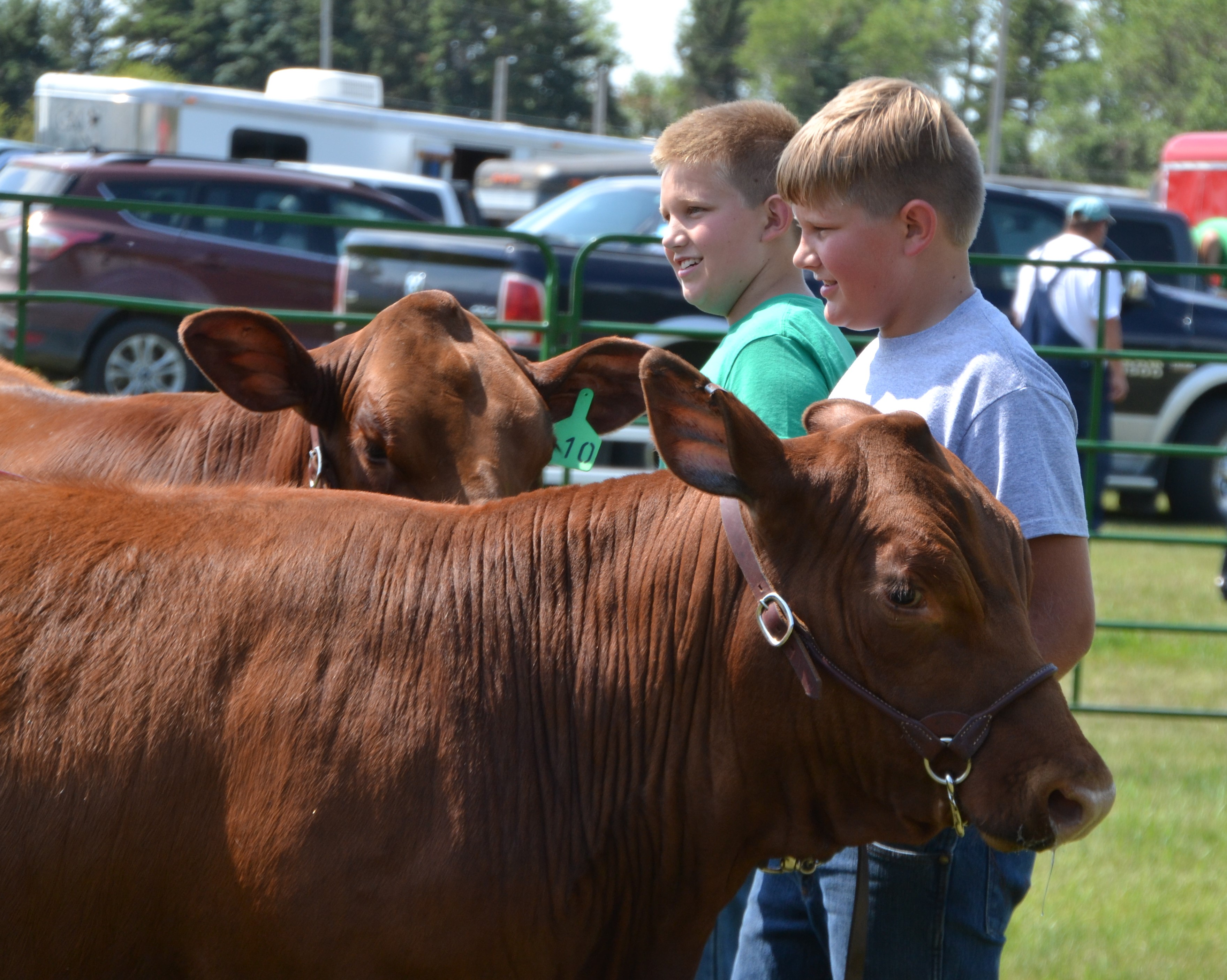 THREE CHEERS FOR 4-H KIDS