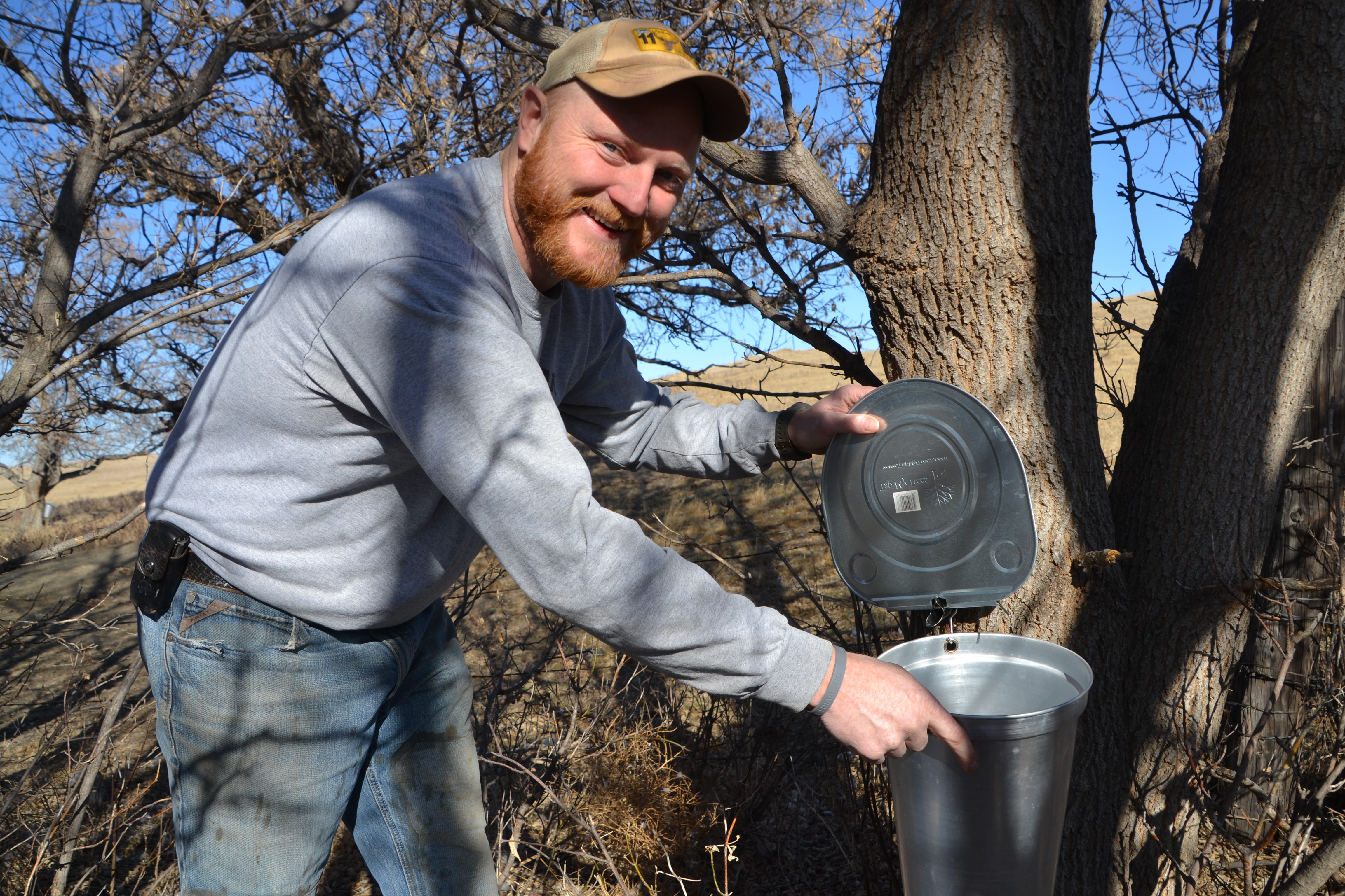 Tapping into nature