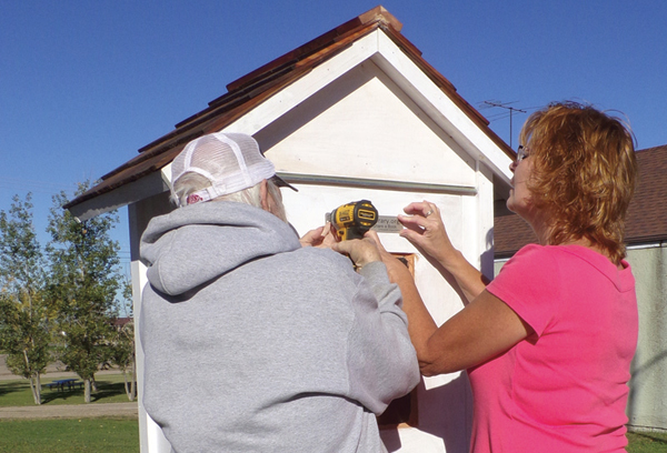 Little Free Library to serve community