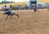 Cowboys & cowgirls roll into Max