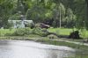 Wild weather in Wilton disrupts Wild in Wilton festivities