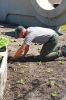 Expanded KRIV garden showcases Native crops