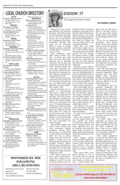 Issue content page 