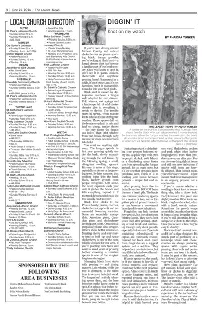 Issue content page 