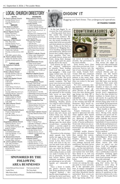 Issue content page 