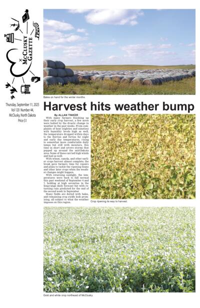 Issue content page 