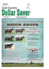 Dollar Saver 2_11_19