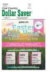 Dollar Saver 4_1_19