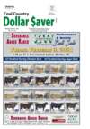Dollar Saver 2-1-21