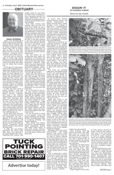 Issue content page 