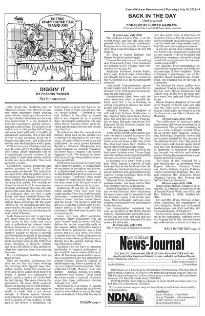 Issue content page 