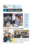 Velva Area Voice