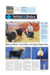 Velva Area Voice