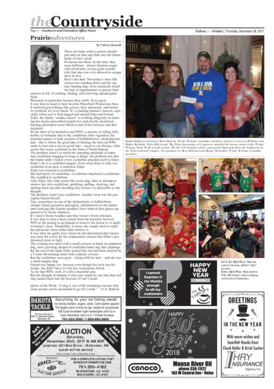 Issue content page 