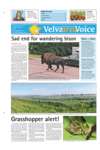 Velva Area Voice