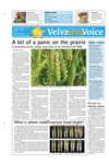 Velva Area Voice