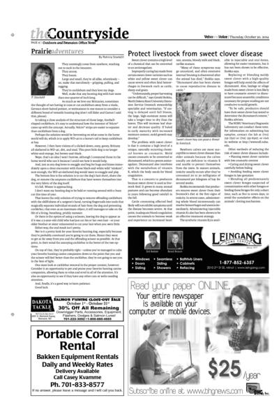 Issue content page 